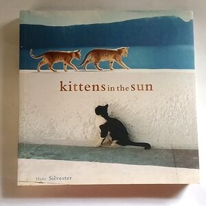Kitten In The Sun Photography Book